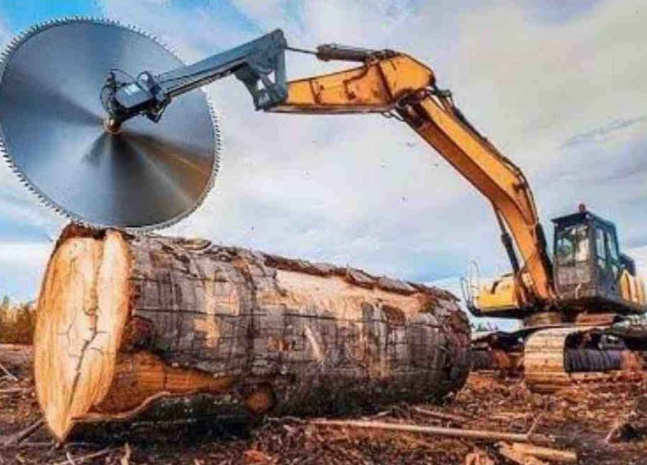 Excavator Performance with a Tree Saw Attachment